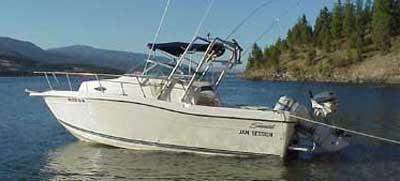 Seaswirl 2150 Walkaround Arch 1995 image 1