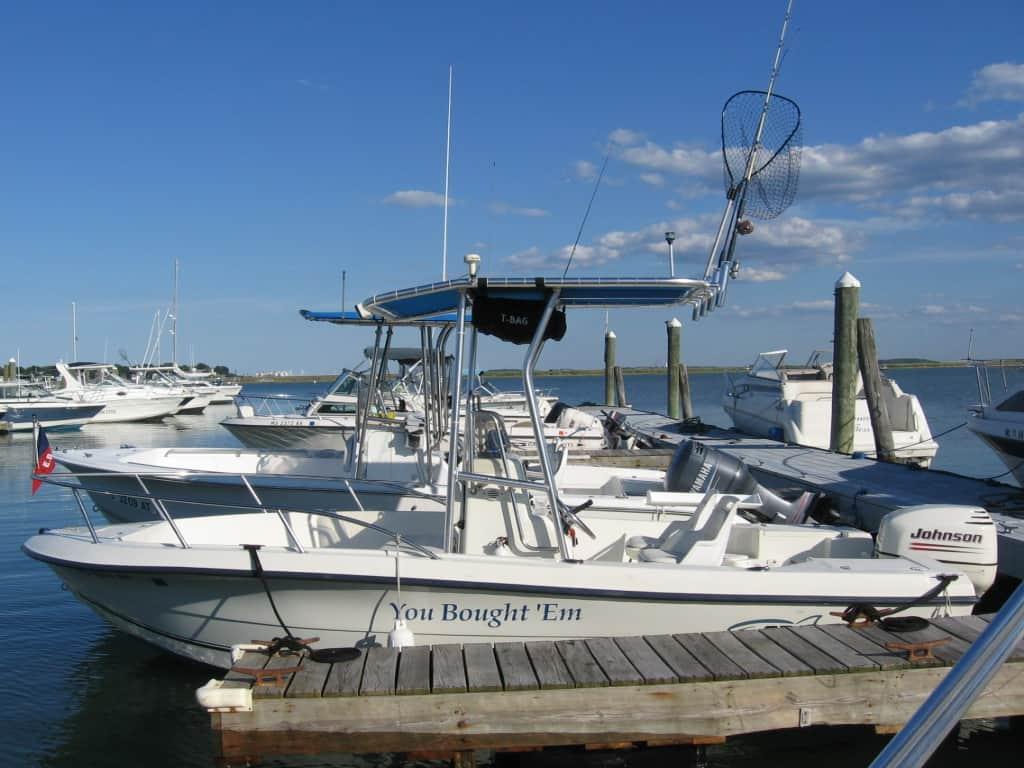 Sea Boss 19 T-Top image 1