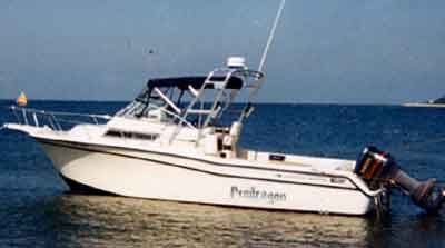 Grady White 272 Sailfish Arch 1994 image 1
