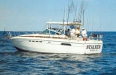 Chris Craft 332 Express Top 1981 image 1