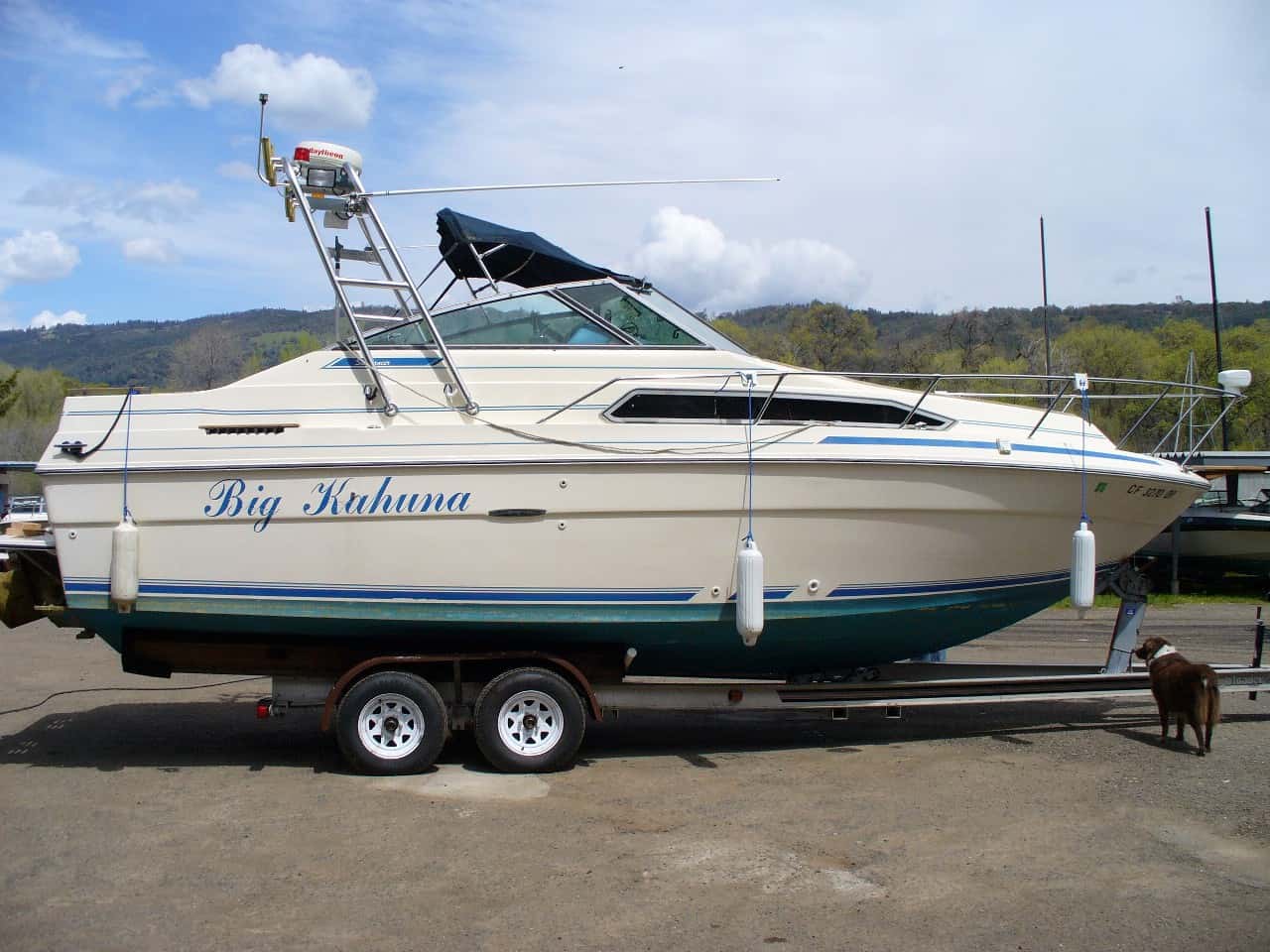 Sea Ray 260 Sundancer Arch 1985 image 1