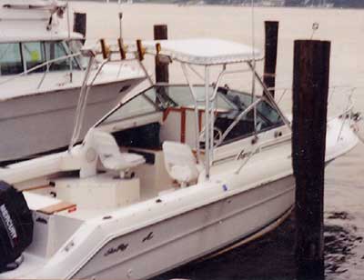 Sea Ray 24 Laguna Top 1992 image 1