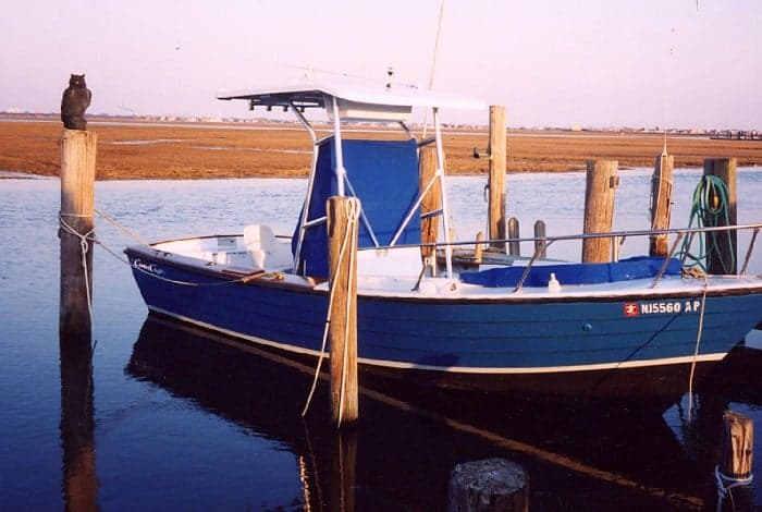 Chris Craft Cape Dory T-Top image 1