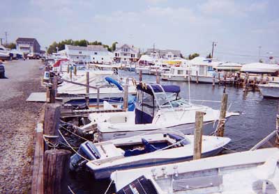Seaswirl 2150 Striper Arch 1995 image 1