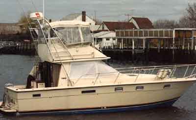Tiara 3100 Convertible Arch 1982 image 1