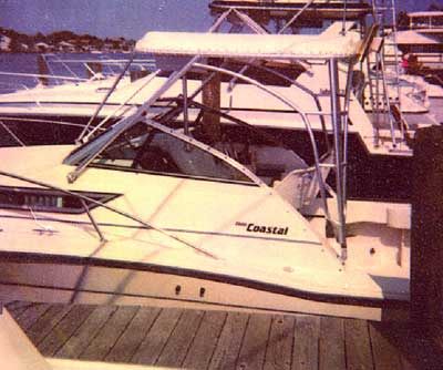Wellcraft 2600 Coastal Top 1990 image 1