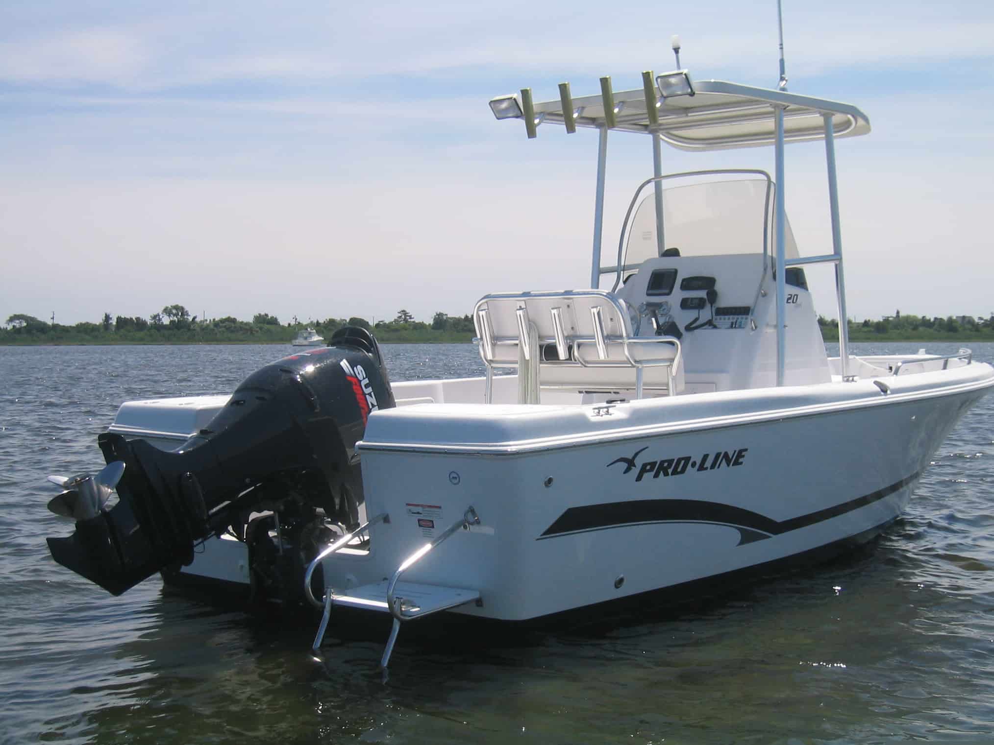 Pro Line 20/21 Sport T-Top 1996 image 1